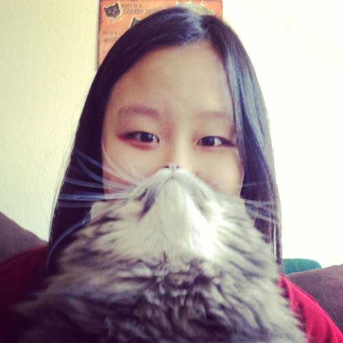 cat1.jpg