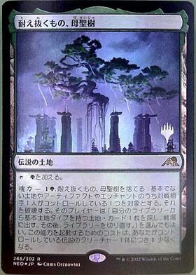 耐え抜くもの、母聖樹/BOSEIJU WHO ENDURES 商品検索 | ドラゴンスター