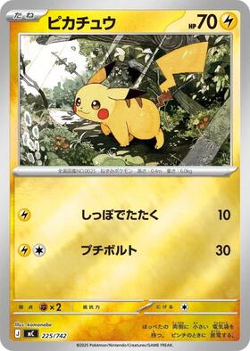 ピカチュウ(259/XY-P) | プロモ | ドラゴンスター | ポケモンカード