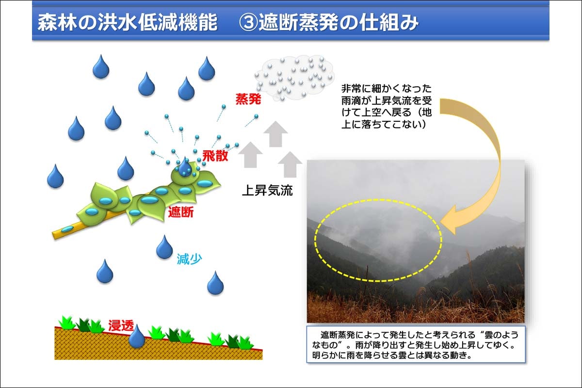 豪雨や台風による水害は増えたのか？水文学の専門家に聞く治水技術