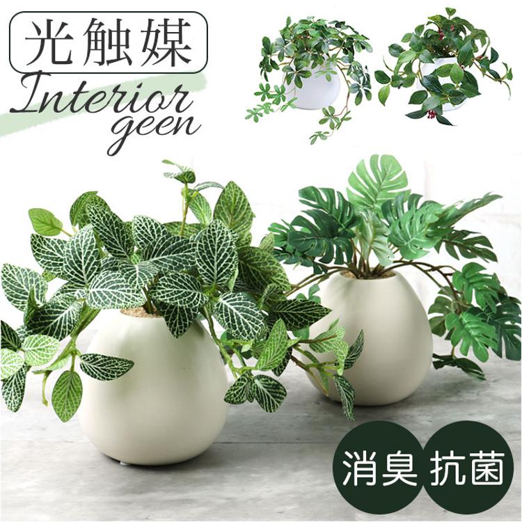 光触媒 フェイクグリーン 通販 イミテーショングリーン 人工観葉植物