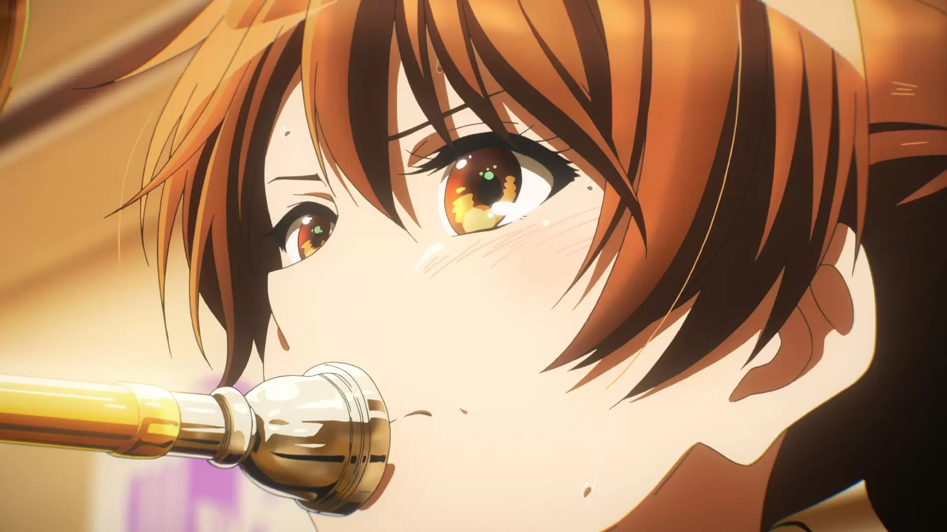 響け！ユーフォニアム』第9回定期演奏会が2026年1月に開催！ チケット