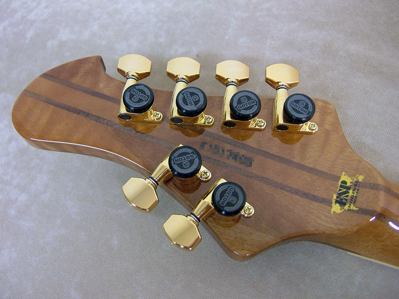 ESP Original Series -STREAM-GT Custom-