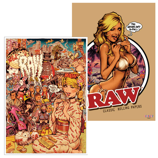 WWRR vol.2正規限定 フレーム付きポスター未開封　ロッキンジェリービーン ロッキンジェリービーン RAW GIRL Japanesque W Sided ポスター