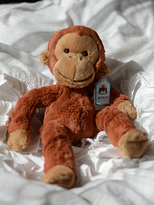 Jellycat Pongo Orangutan オラウータン 縫いぐるみ を通販 | ETOFFE