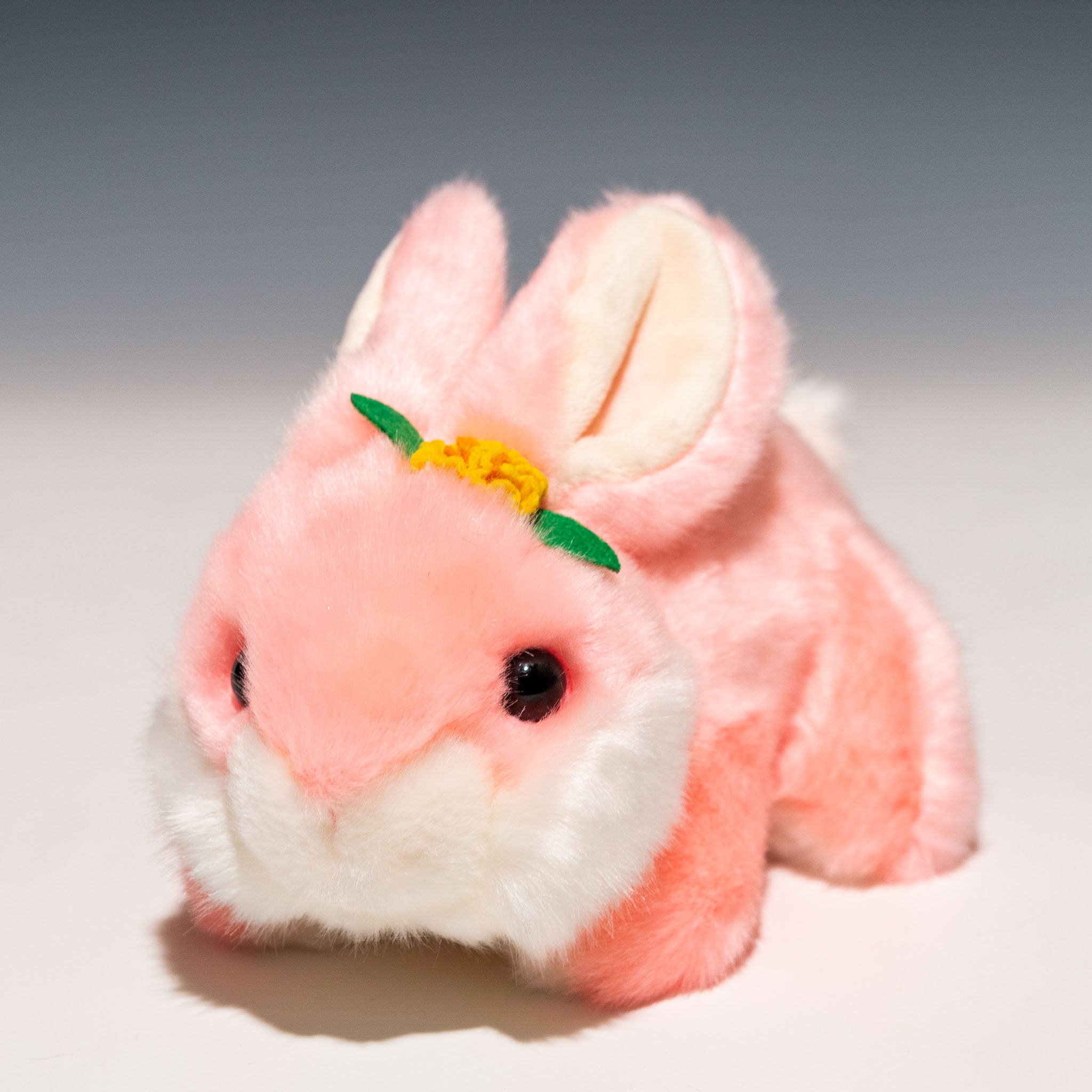 CUTE キュート販売 ぬいぐるみ ウサギ S ピンク F0105 - エステルノ