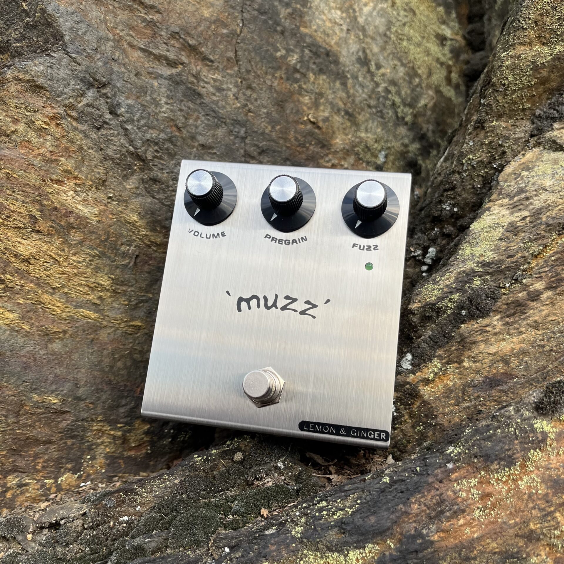 LEMON & GINGER MUZZ FACE - Fandango Guitars