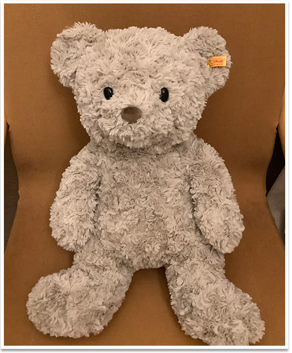 シュタイフ ピーターラビット 100周年限定品 27cm EAN354168