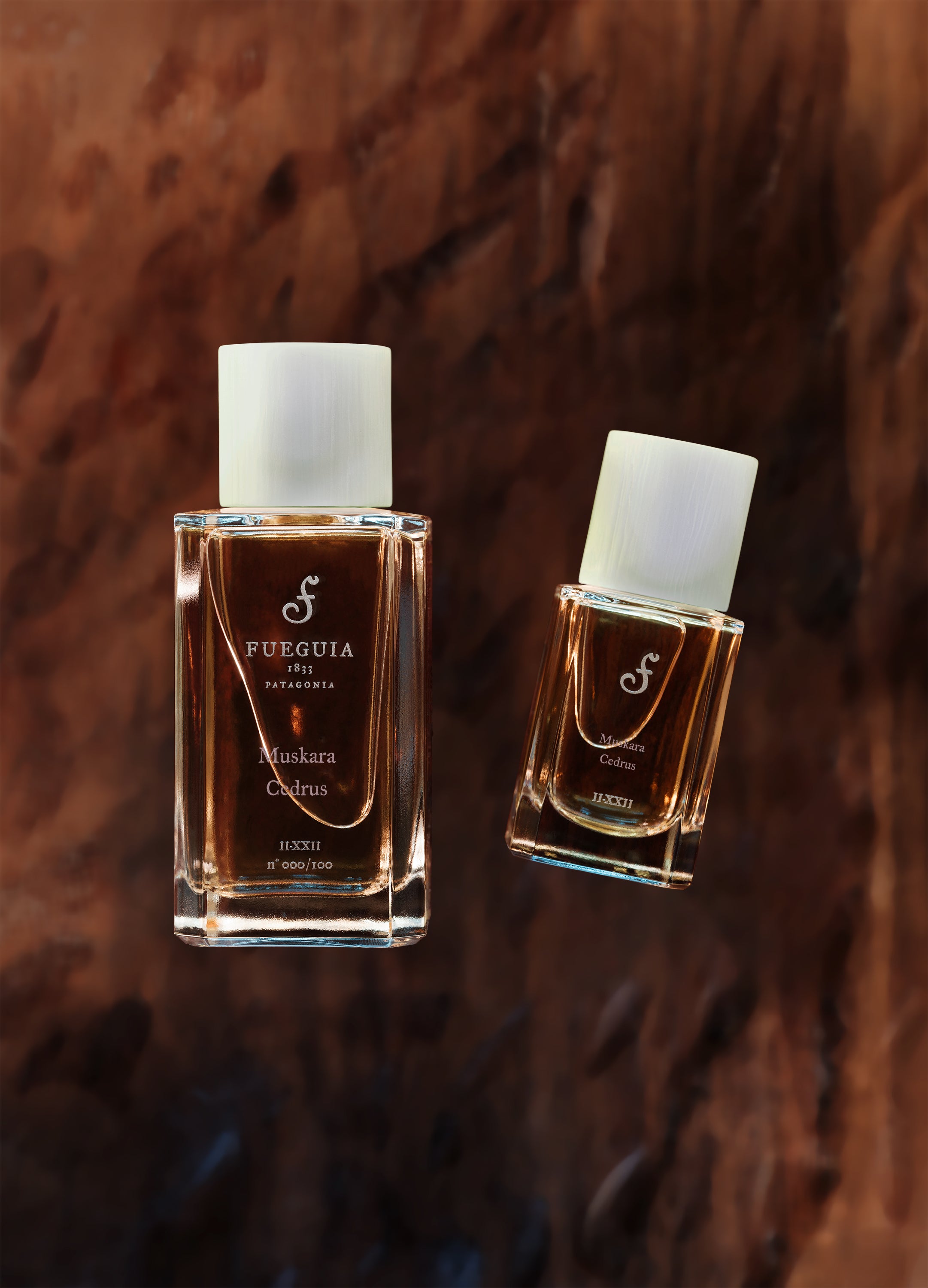 FUEGUIA 1833 | Muskara Cedrus｜ムスカラ ケドルス – FUEGUIA 1833