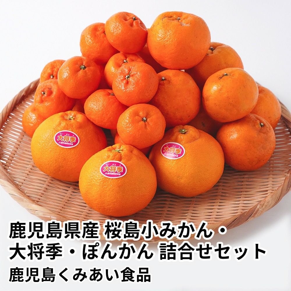 桜島小みかん・大将季・ぽんかん 詰合せセットのギフト通販・お