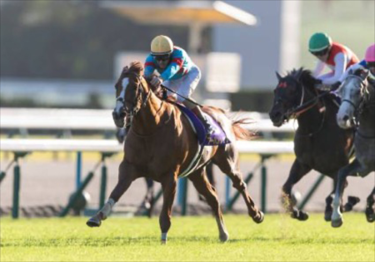有馬記念】武豊×ドウデュースを逆転できる候補3頭！と絶対に馬券に