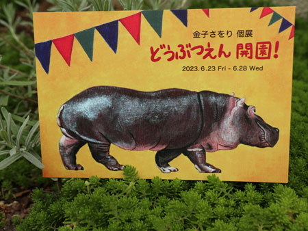 今日のかば】2023年6月