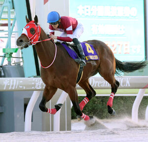 東京大賞典】3歳フォーエバーヤングが坂井瑠星騎手と国内無双のG1級