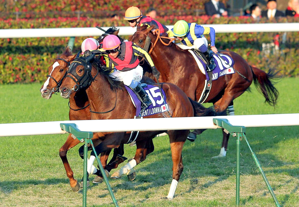 12年ジャパンC】3歳秋3戦目、ジェンティルドンナは「促し、促し