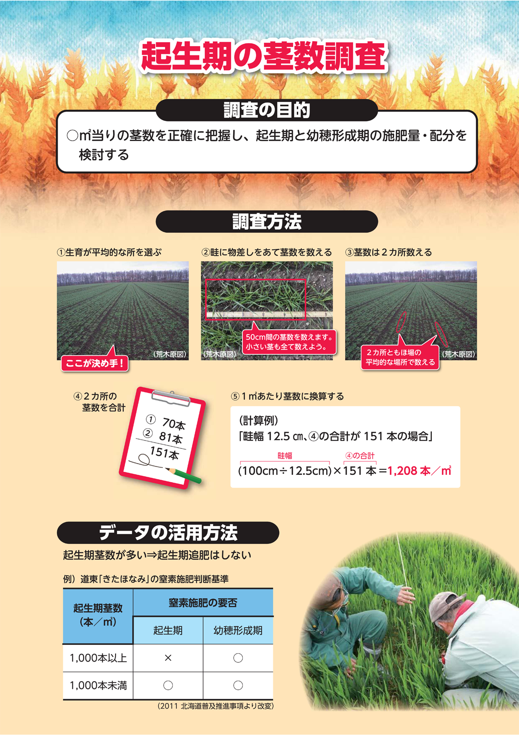 小麦安定多収のための「生育の確認とチェック！」