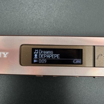 SONY NW-M505 Walkman Digital Music Player 16GB Tested Working | eBay