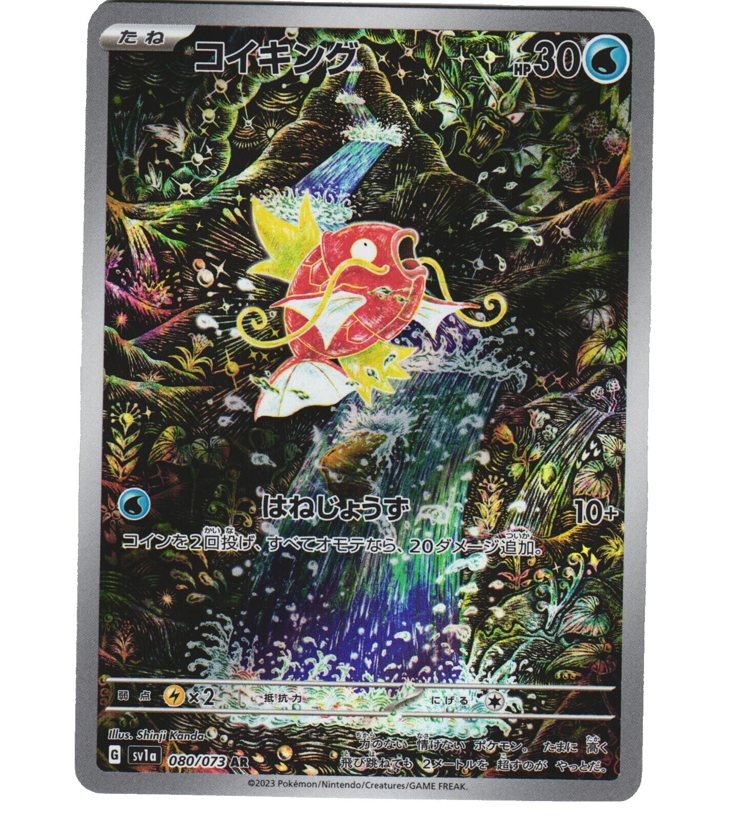 Magikarp 80 | eBay