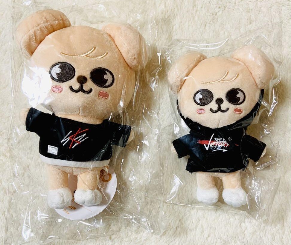 Stray Kids Seungmin Skzoo PuppyM Original & Mini Size Official