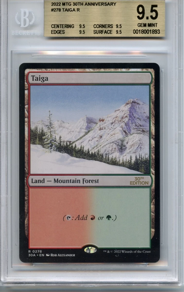 Taiga Magic: The Gathering Individual Trading Card Games for sale