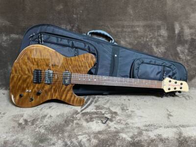 Electric Guitar Dragonfly Border 666 Gloss Natural Maple Neck with