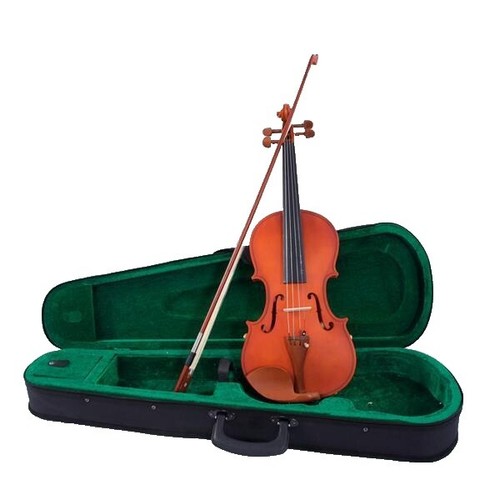 Good Condition] Suzuki Violin No 520 4/4 EASTMAN | eBay