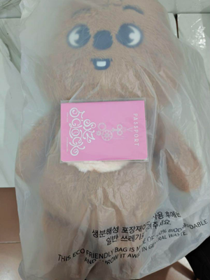 Stray Kids Official 5'CLOCK Han Quokka SKZOO Teddy Bear Plush w