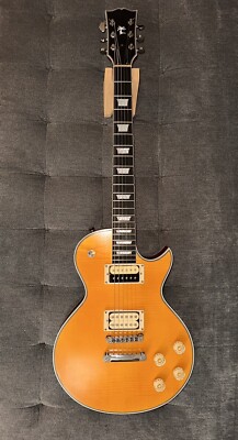 Custom Built LP | eBay