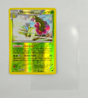 POKEMON CARD 2016 Meganium Holo 3/122 with Clear Sleeve | eBay