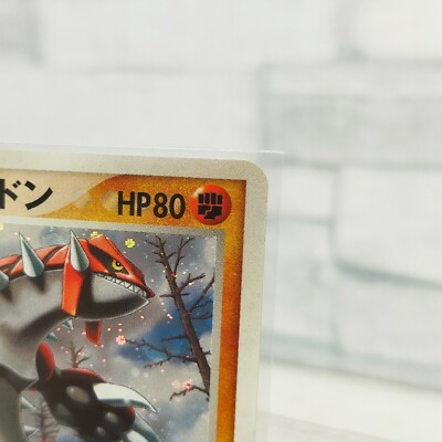 Pokemon card ____'s Groudon 020/PLAY Player's Club Promo Holo Rare