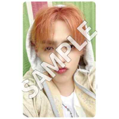 SEVENTEEN 12th Mini ALBUM 