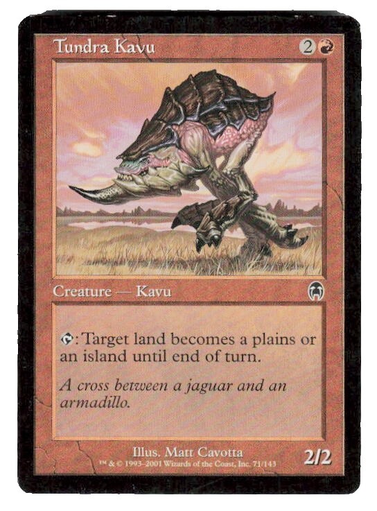 Magic The Gathering Tundra | eBay