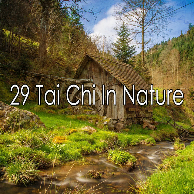 29 Tai Chi In Nature - Album by Nature Sounds Nature Music | Spotify