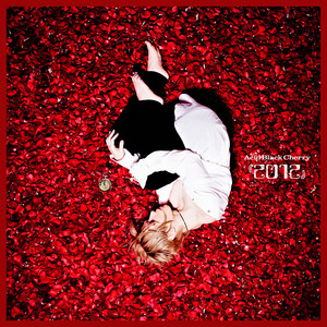 別ジャケ Black 優しい嘘 シークレット マグネット Cherry Acid