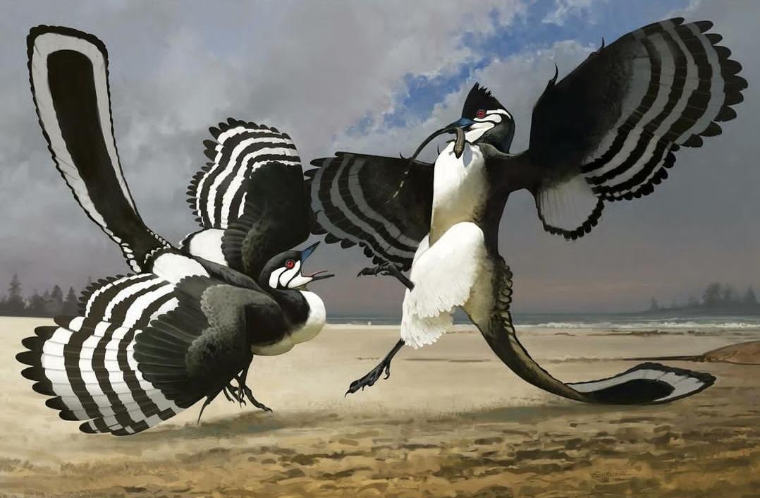 A Pair Of Archaeopteryx Fighting by Ville Sinkonnen : r/Naturewasmetal