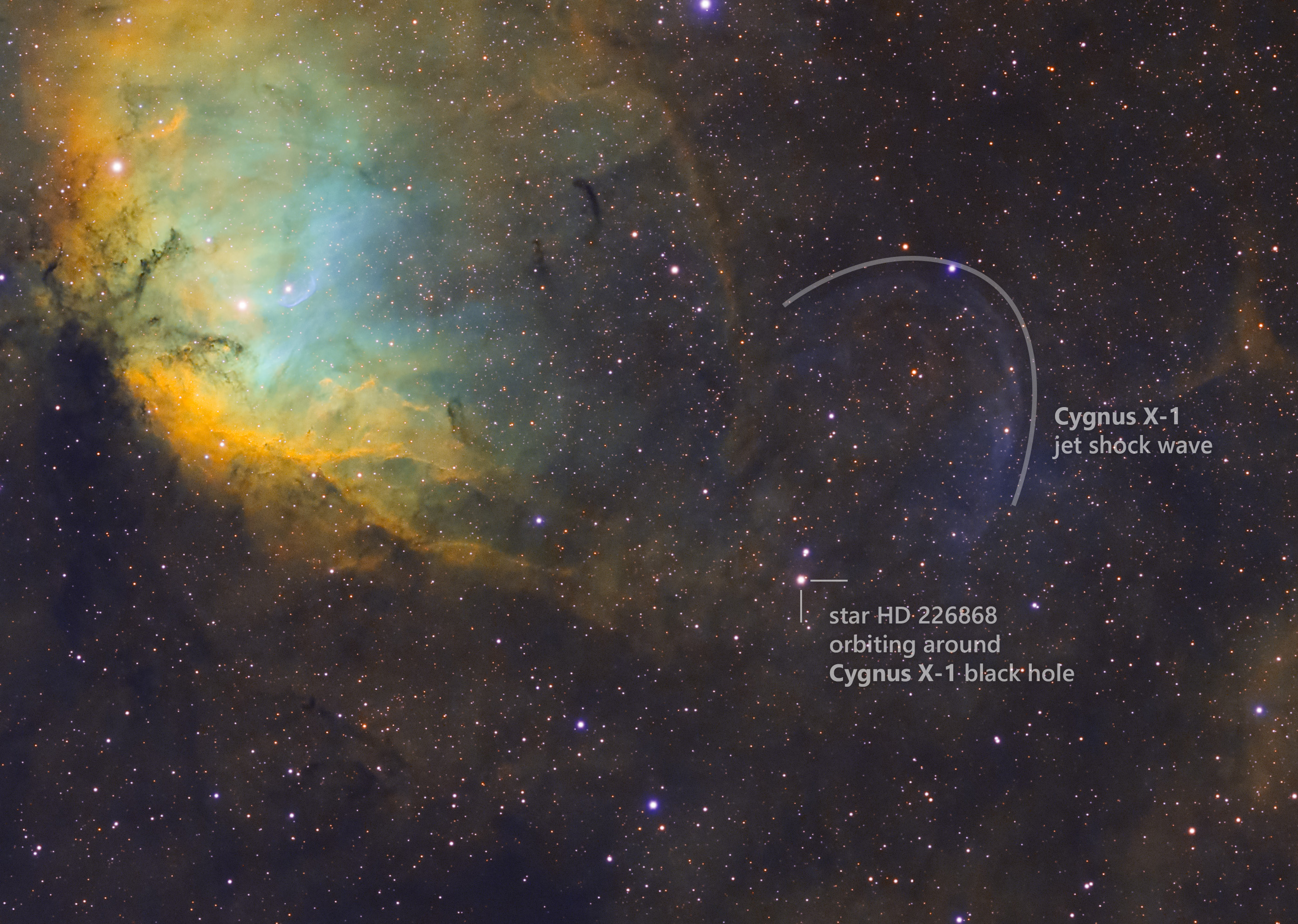 白鳥座X-1ブラックホール！ : r/astrophotography