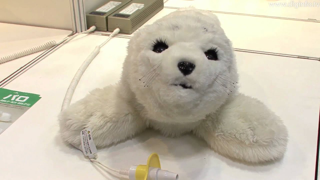 メンタルコミットロボット「パロ」 : DigInfo - YouTube