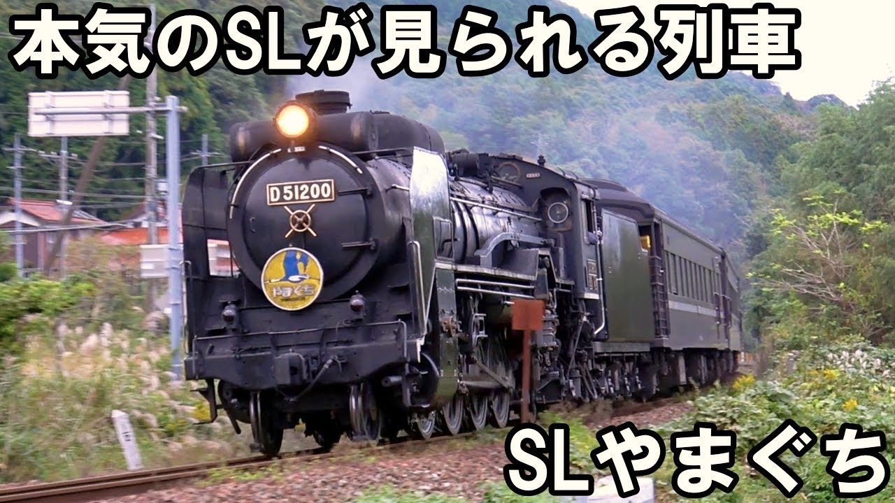 SLを見る】本気のSLが見られる列車 - 安全弁から蒸気を上げる - SL