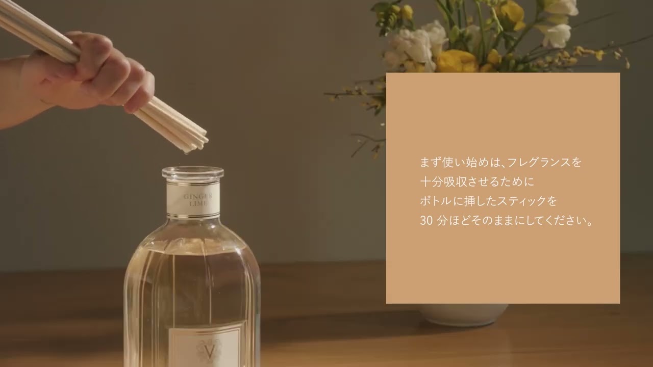 Dr. Vranjes Firenze ® ディフューザー Ginger Lime〈ジンジャー・ライム〉