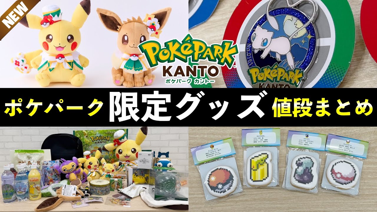 ポケパークカントー ピンバッジ 26個 被り無し まとめ売り