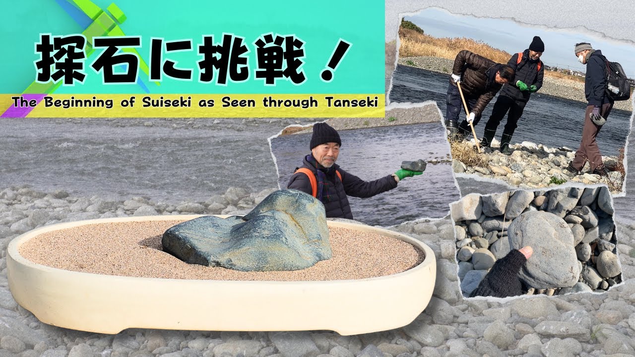 The roots of Suiseki as Seen through Tanseki - In Search of the