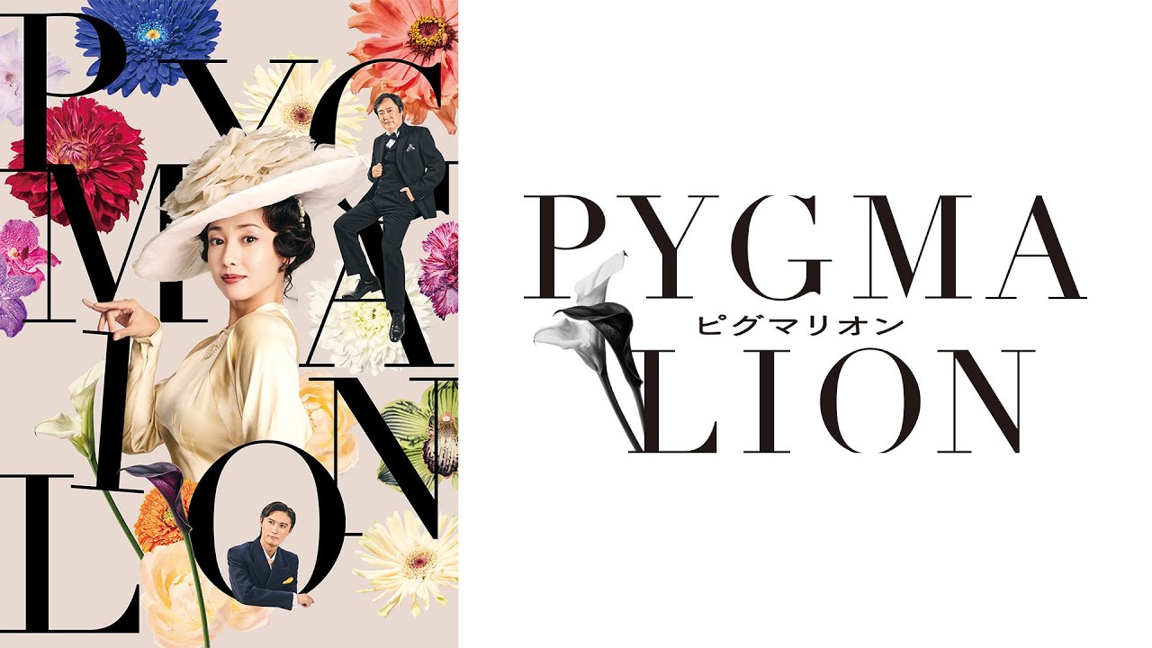 佐藤璃果（乃木坂46）さんの直筆サイン入りビジュアルチェキプレゼント