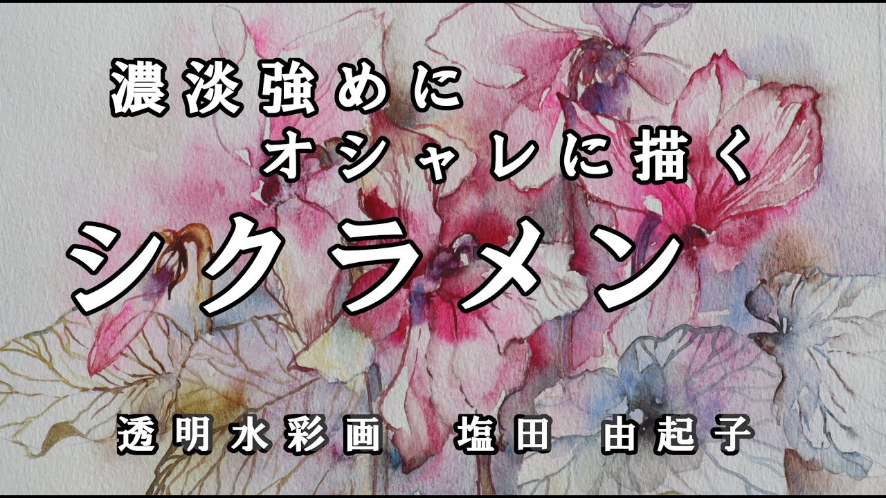 透明水彩画原画ピンクのシクラメン