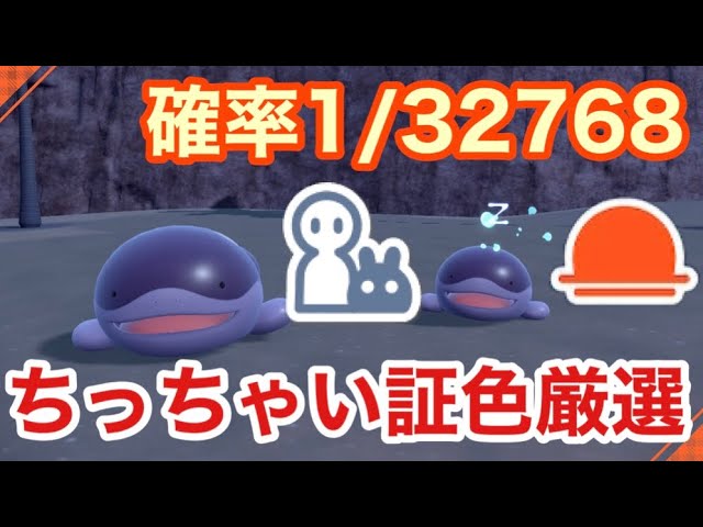 最小サイズのダブル証色違いドオーを厳選！【ポケモンSV】【色証