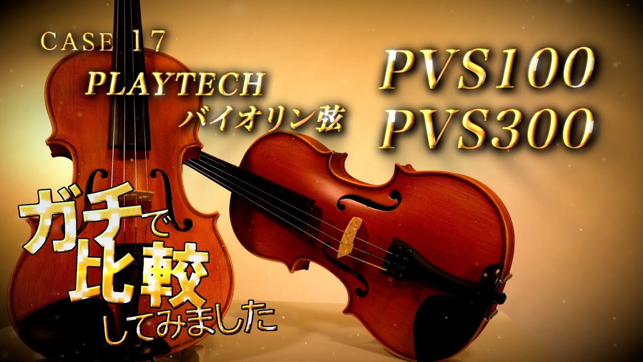 PLAYTECH ( プレイテック ) PVS300 バイオリン弦 ナイロン 4/4セット
