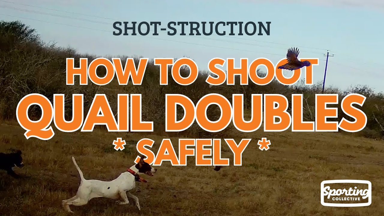How to Sh00t Quail Doubles SAFELY - YouTube