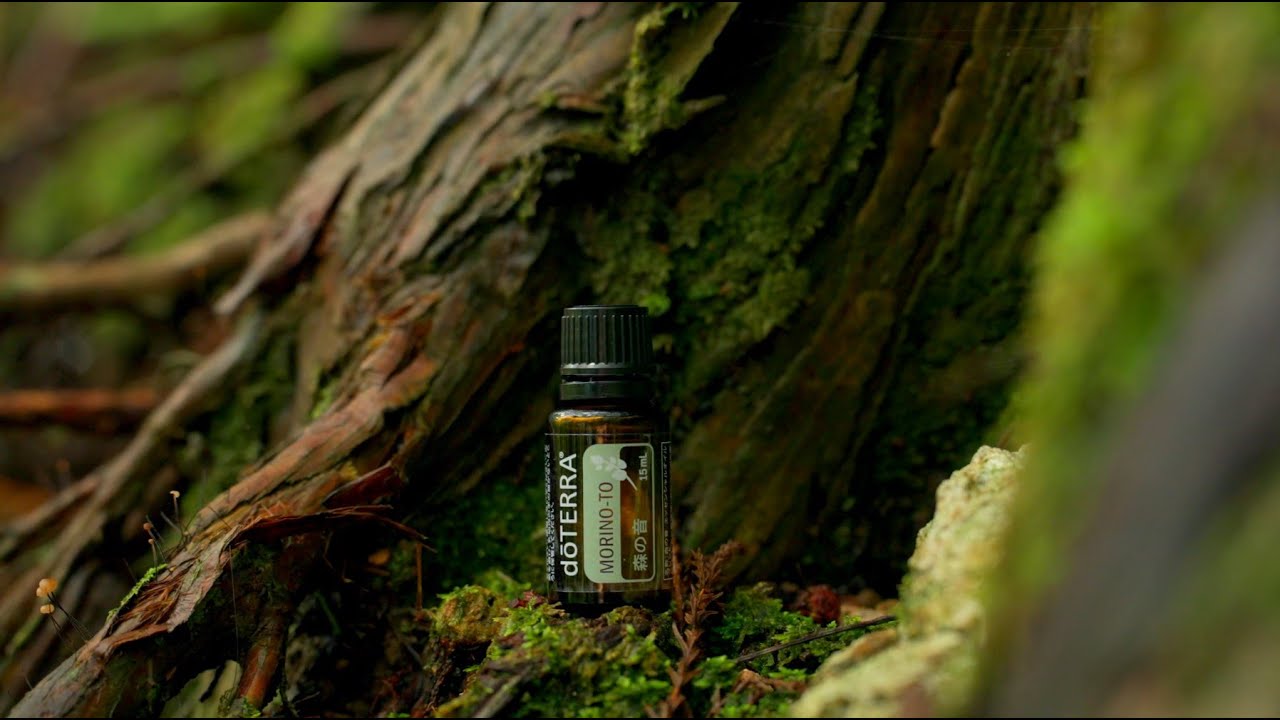 森の音 - doTERRA TIMES