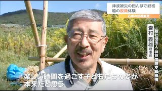 今では見かけない「稲こき機」を使って園児たちが脱穀 2023年10月