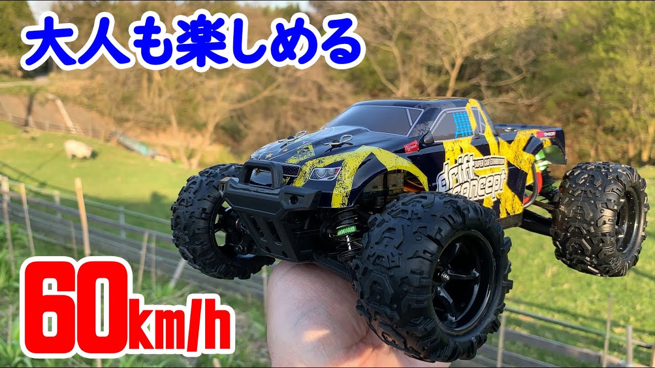 最高速度60km/h!?DEERCの1/18オフロードラジコン300Eの開封とヤギ牧場