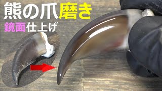 ヒグマの爪磨いてみた 鏡面仕上げ Brush bear claws - YouTube