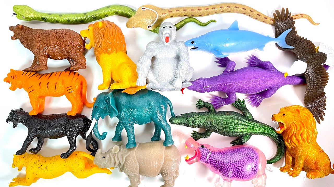 SUPER ANIMAL & Co. 